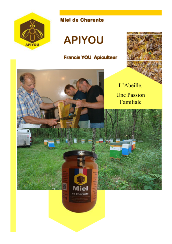 APIYOU