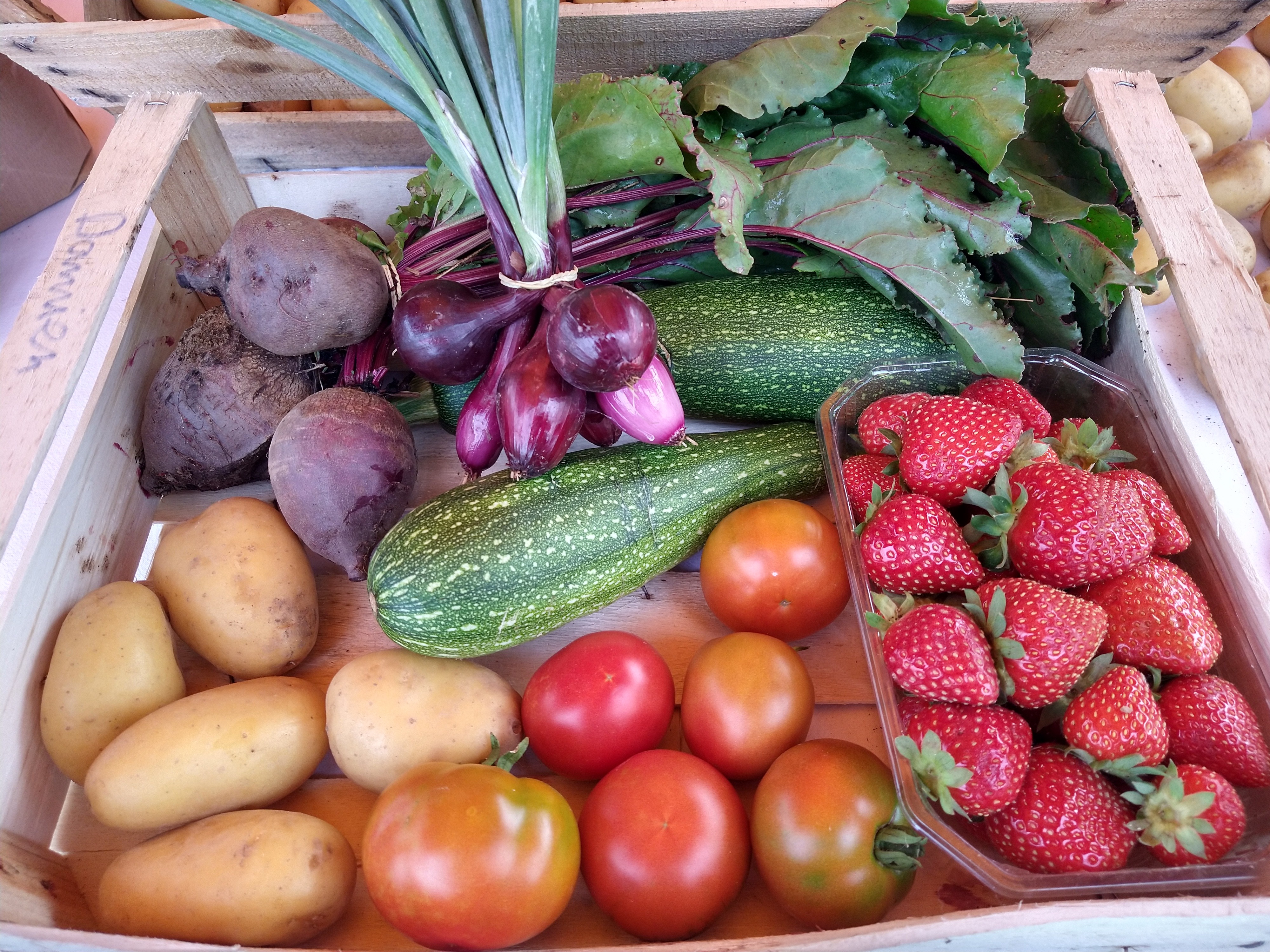 FERME DU MAINE THELOTTES