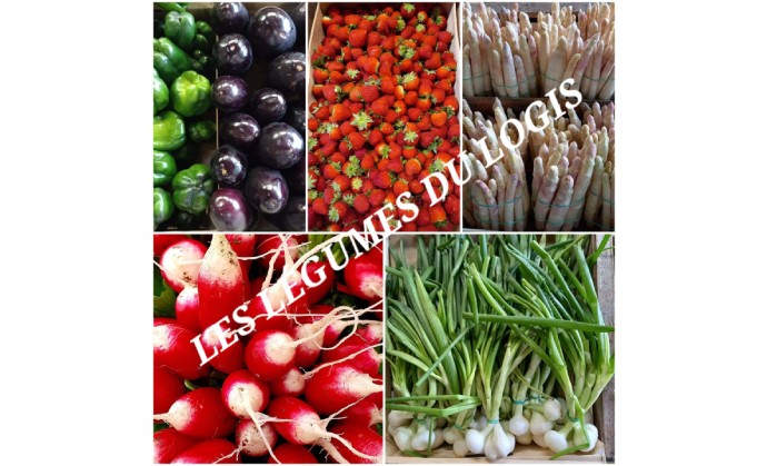 LES LEGUMES DU LOGIS