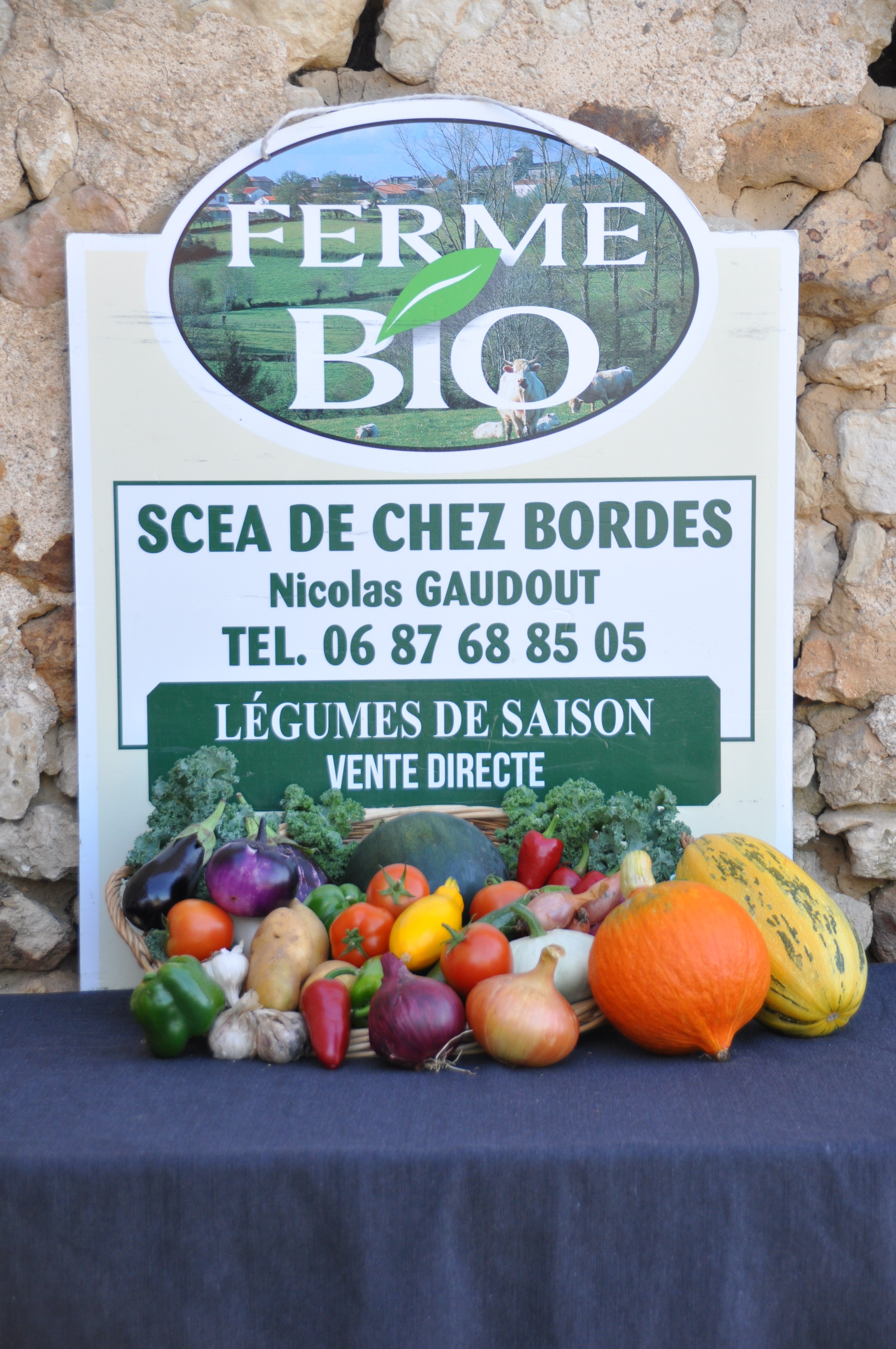 SCEA DE CHEZ BORDES