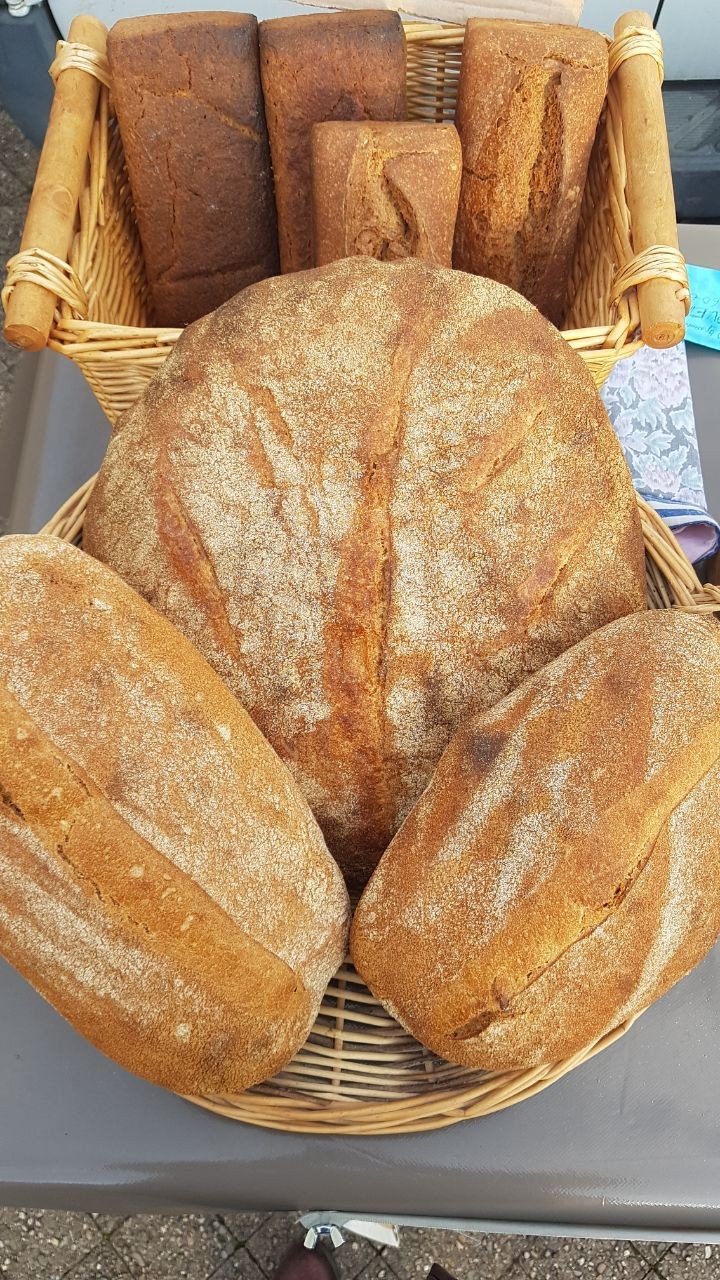 SCEA LE MOULIN D'EMILETTE