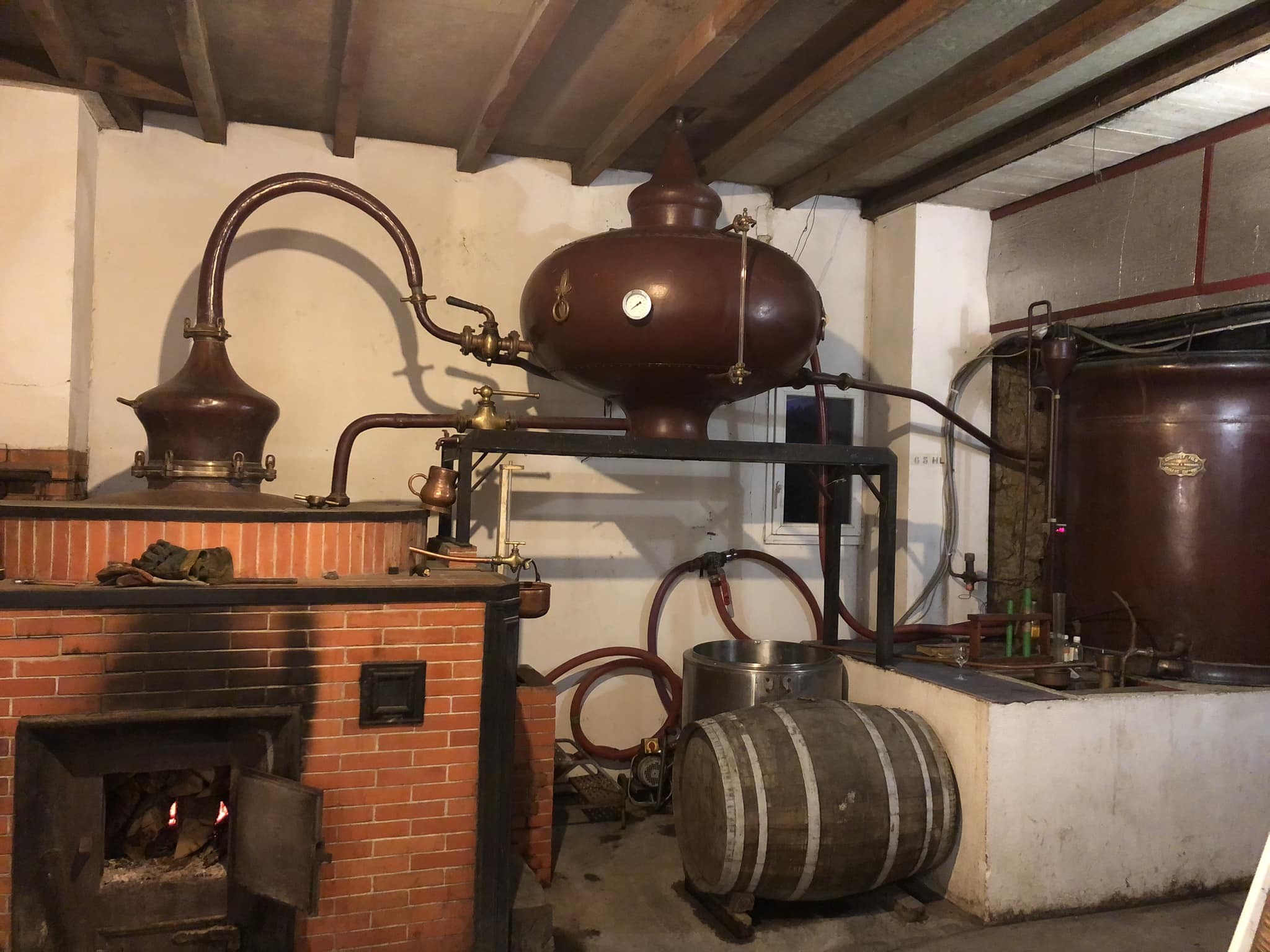 DOMAINE LE PETIT COUSINAUD