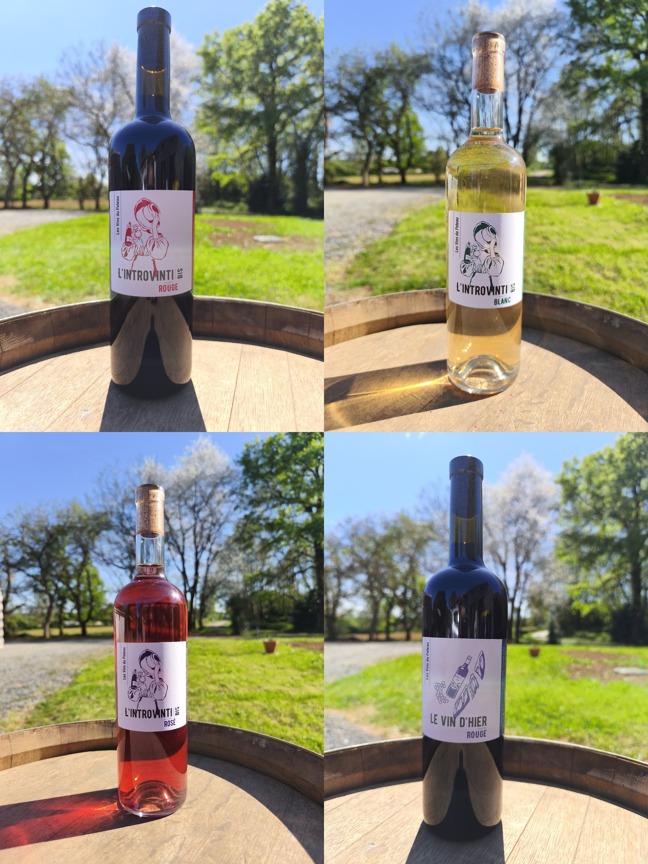 LES VINS DU POTEAU