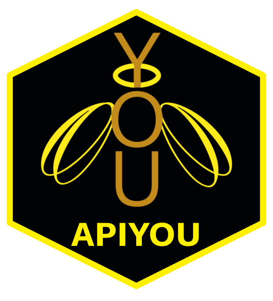 APIYOU