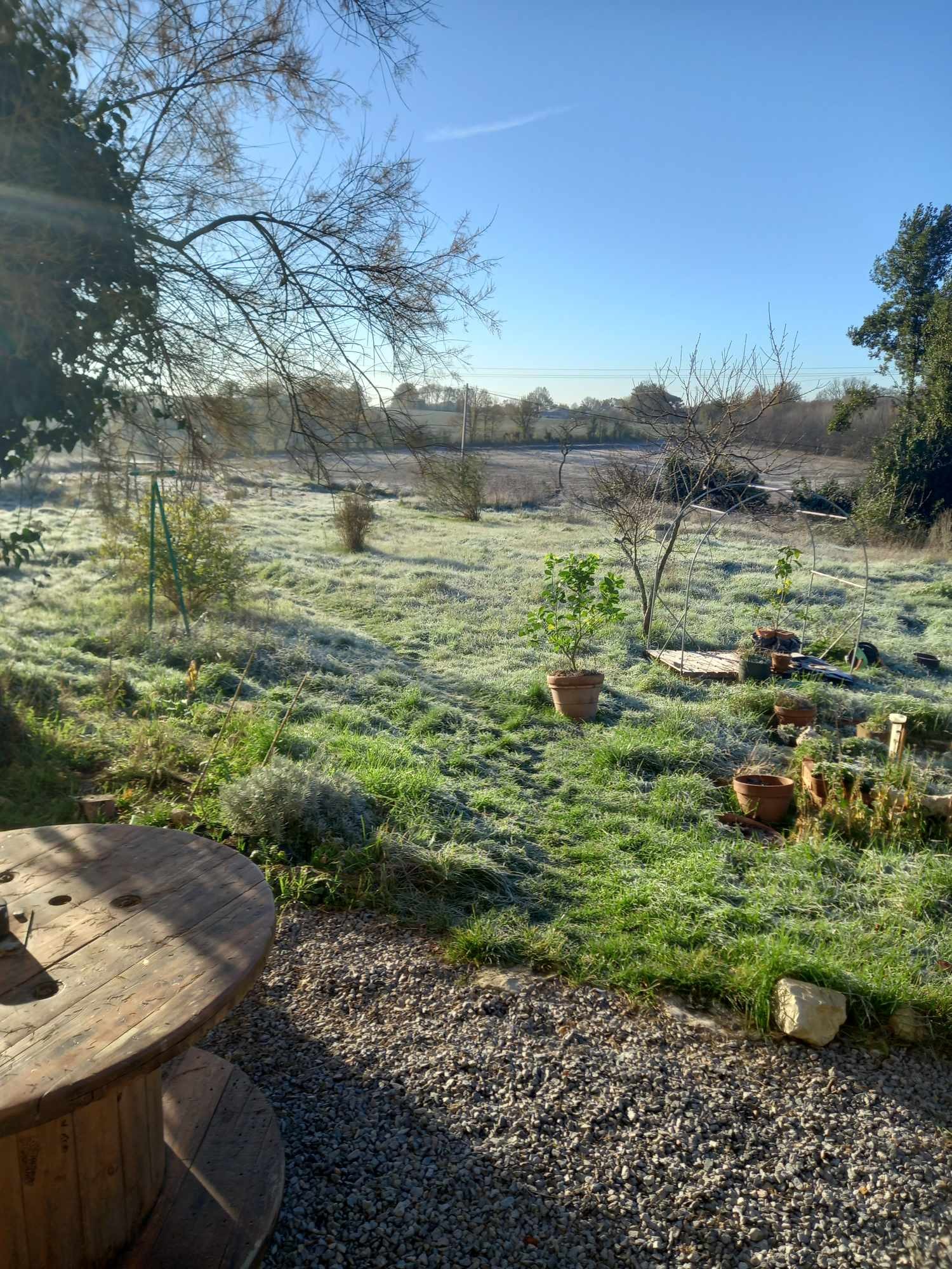 LES PLANTES DE LA CHAUME