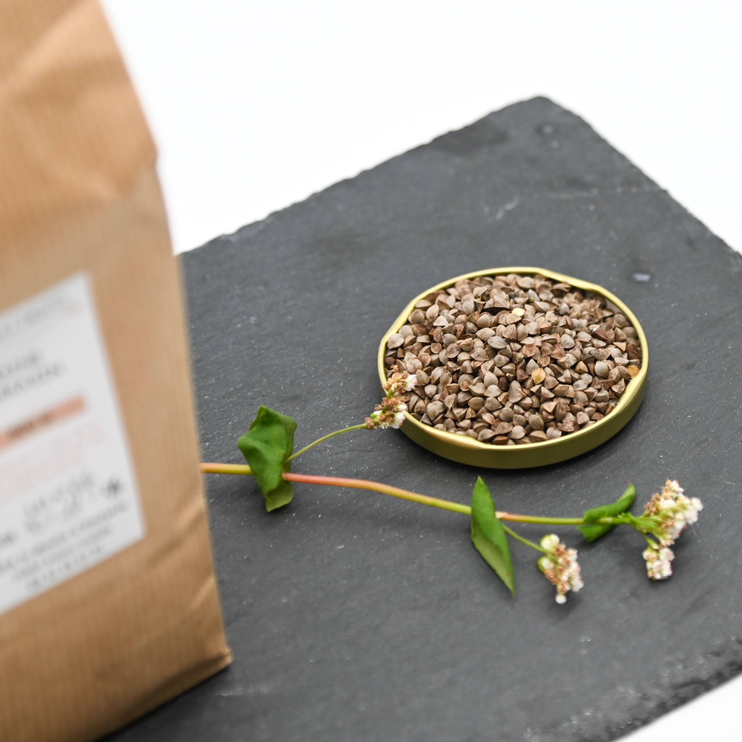 SCEA LE MOULIN D'EMILETTE