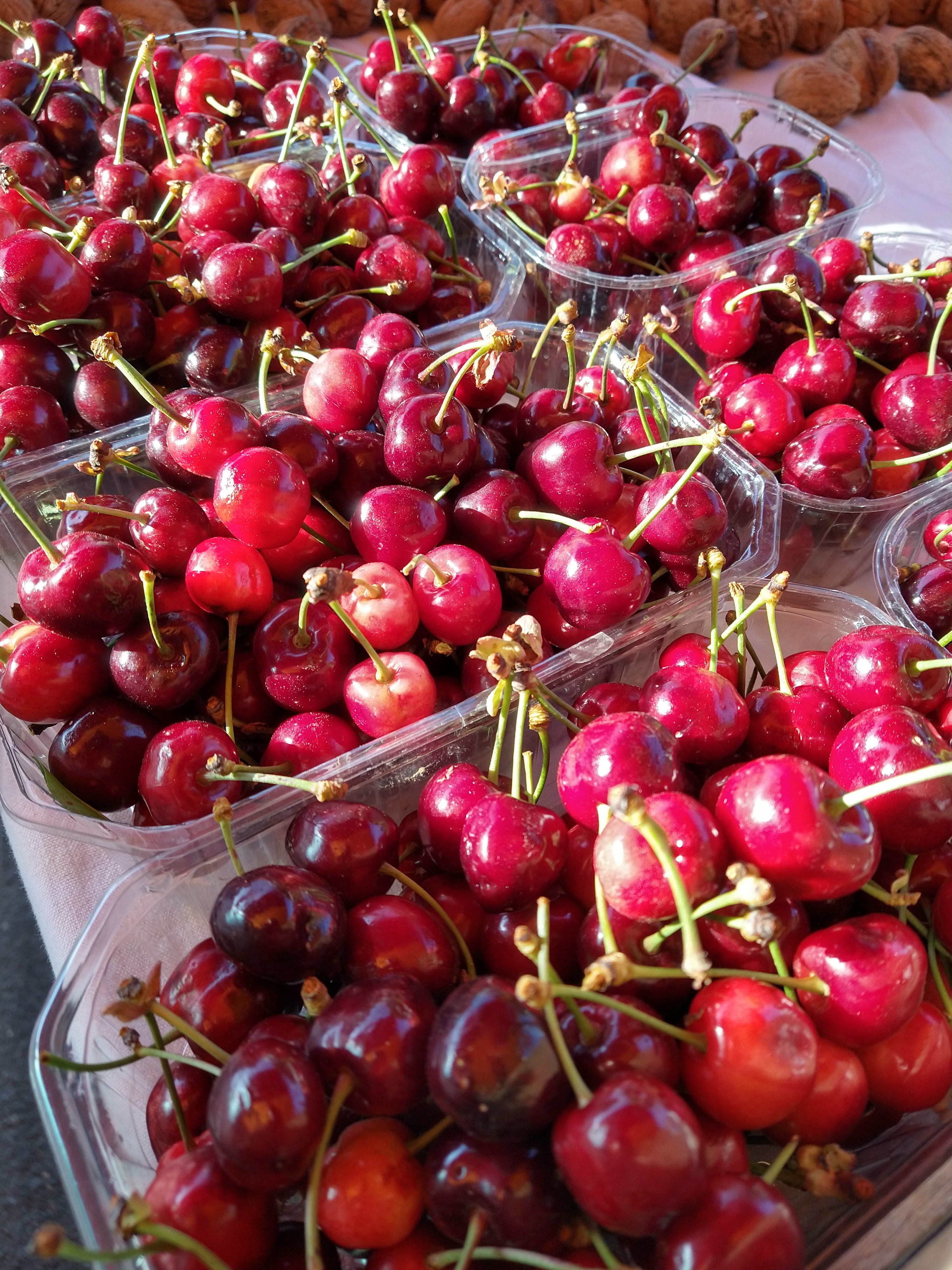 FERME DU MAINE THELOTTES