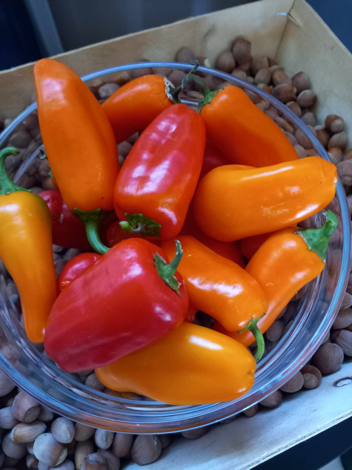 LES PLANTES DE LA CHAUME