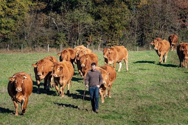 FERME DE BOISTILLET