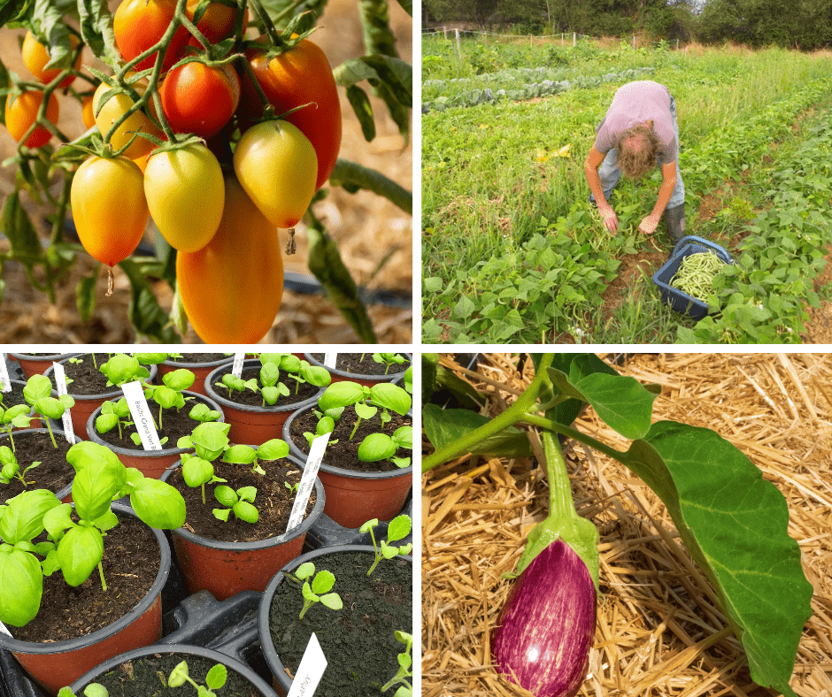 LES JARDINS DU BANDIAT