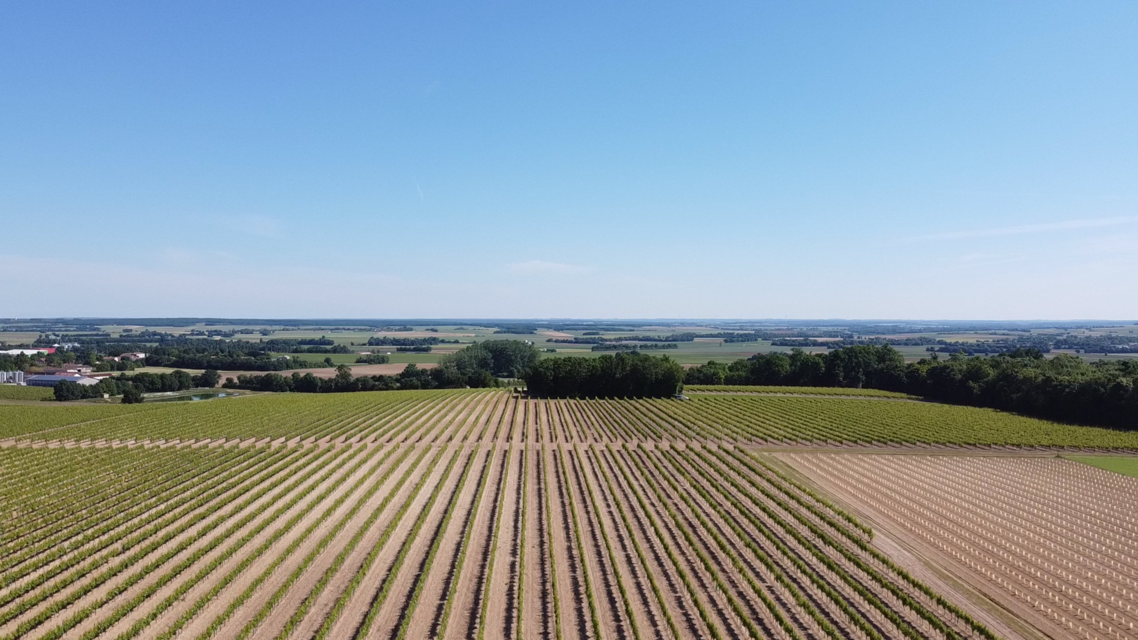 VIGNOBLE ROLAND VILNEAU