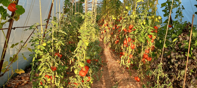 LES JARDINS DE SÉMIRAMIS