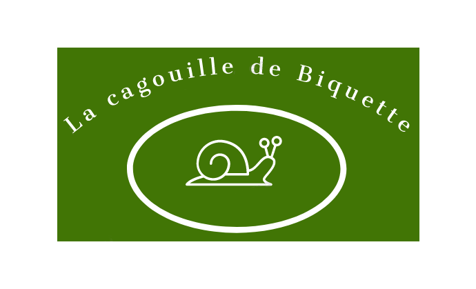 LA CAGOUILLE DE BIQUETTE