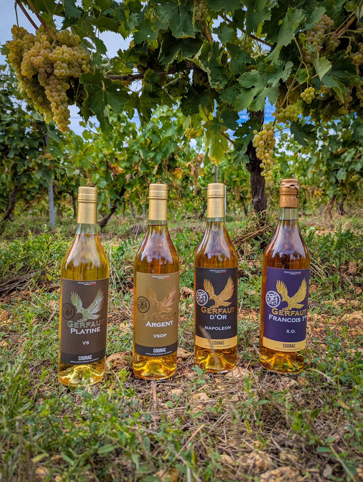 BOUTIQUE DE L'OISELLERIE