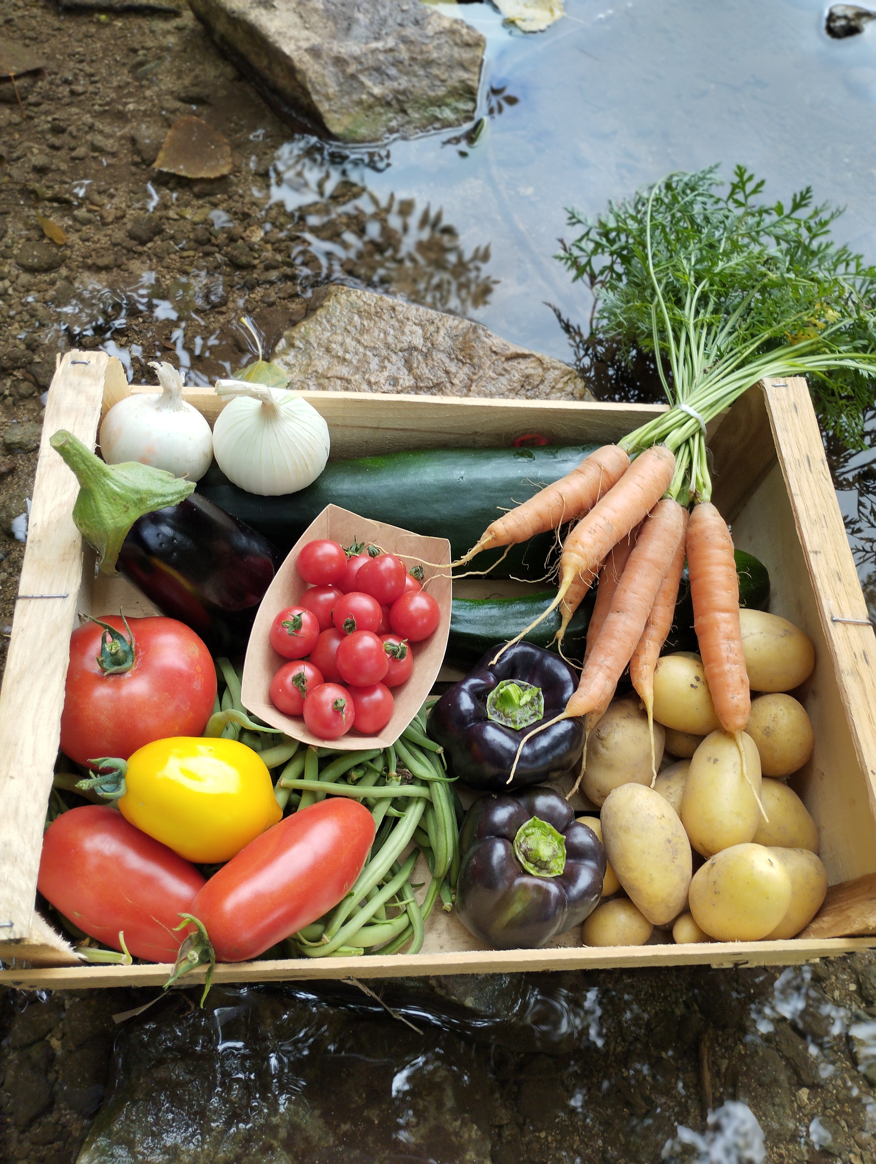 LE POTAGER DE GABILOU