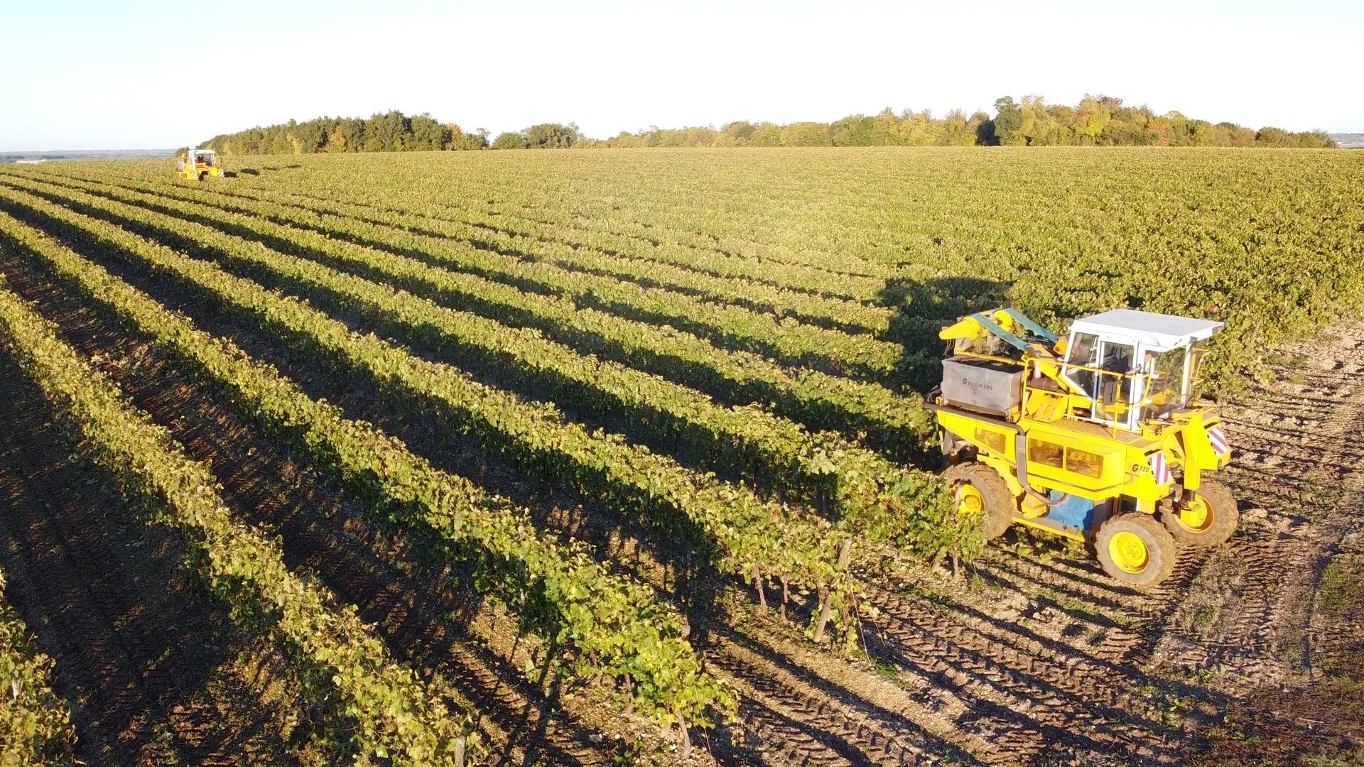 VIGNOBLE ROLAND VILNEAU