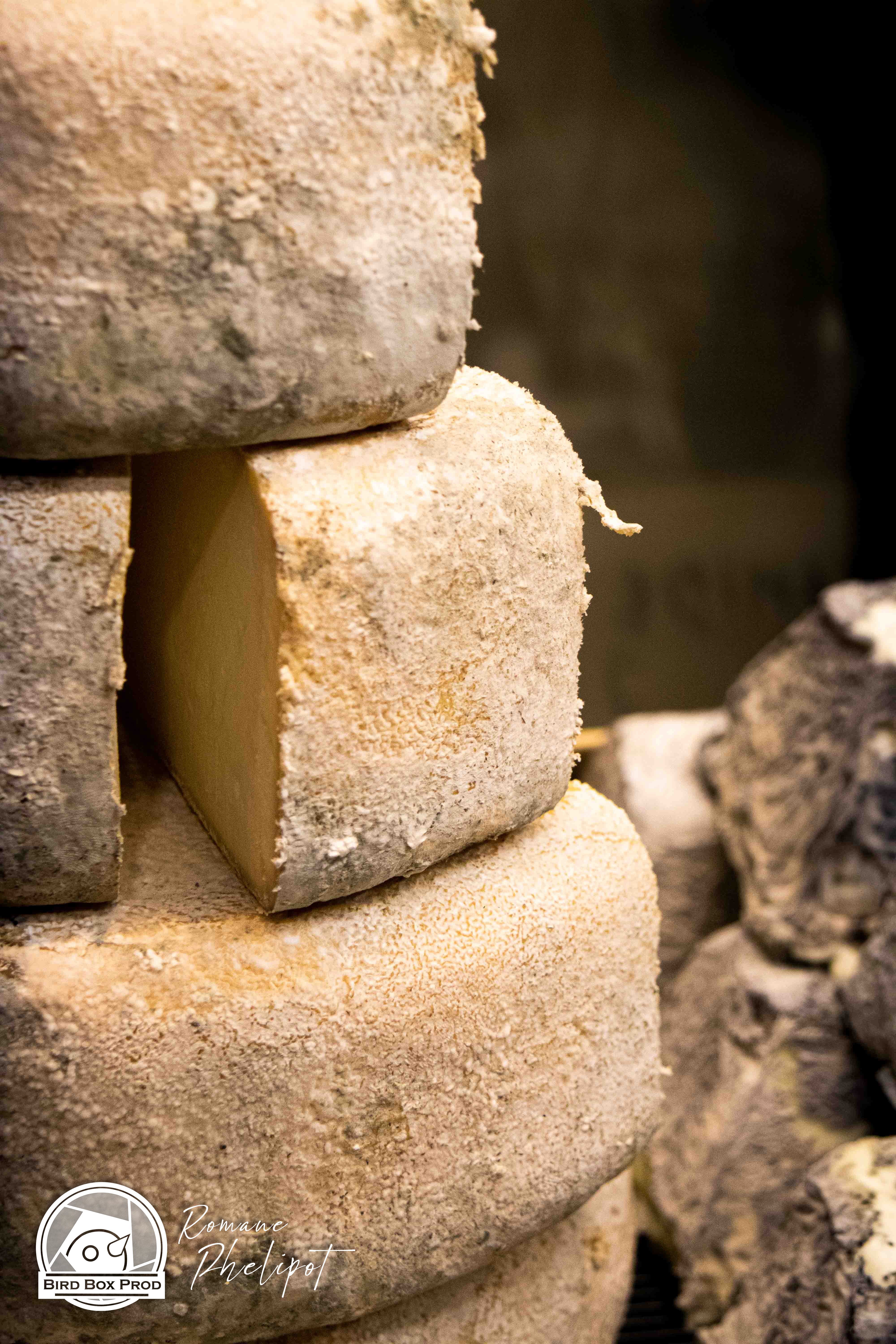 CHEVRE JOUSSEAUME