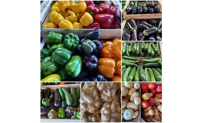 LES LEGUMES DU LOGIS