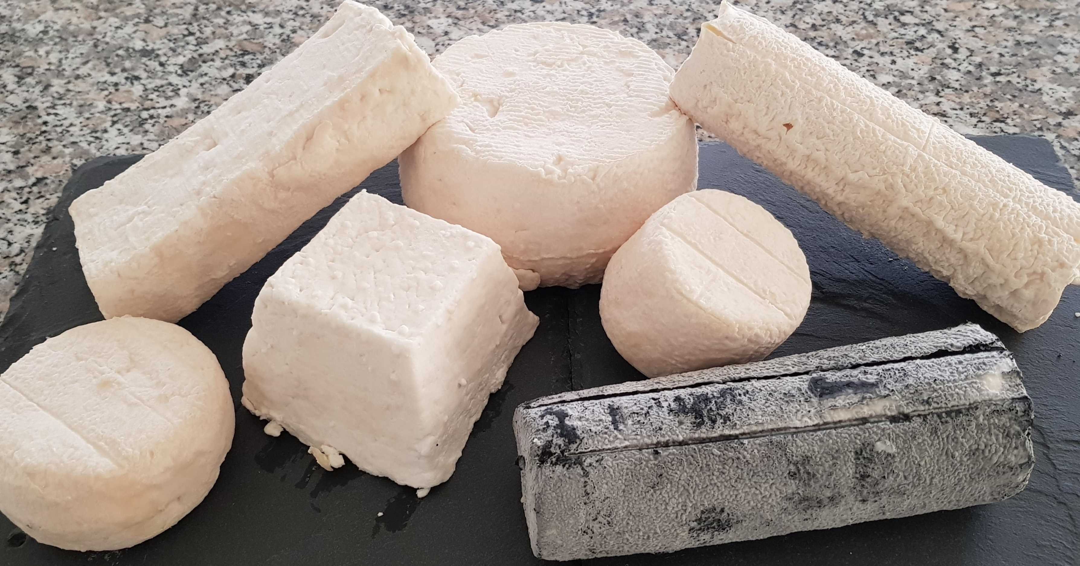 CHEVRES DE SIREUIL