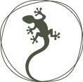 Spiruline LA SALAMANDRE 