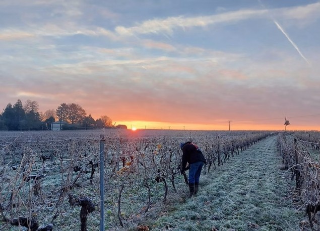 EARL DESRENTES VITICULTEUR