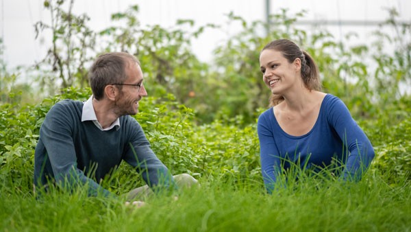 LE POTAGER DES POISSONS