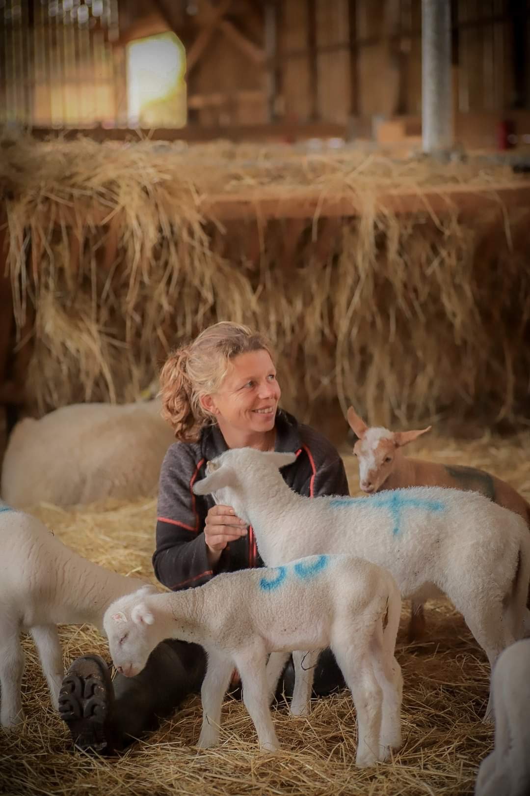 CHEZ LES BÊTES A CORNES