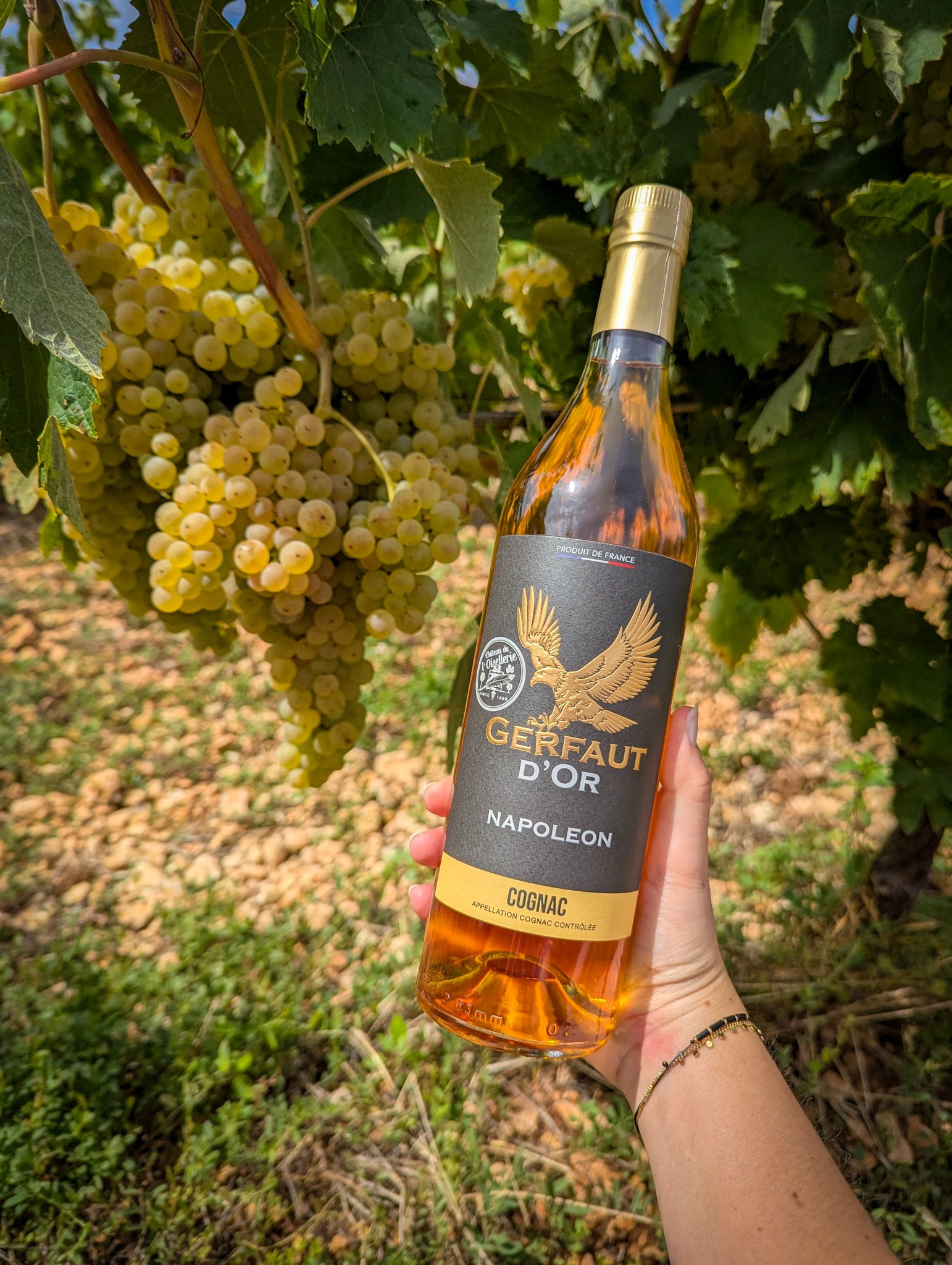 BOUTIQUE DE L'OISELLERIE