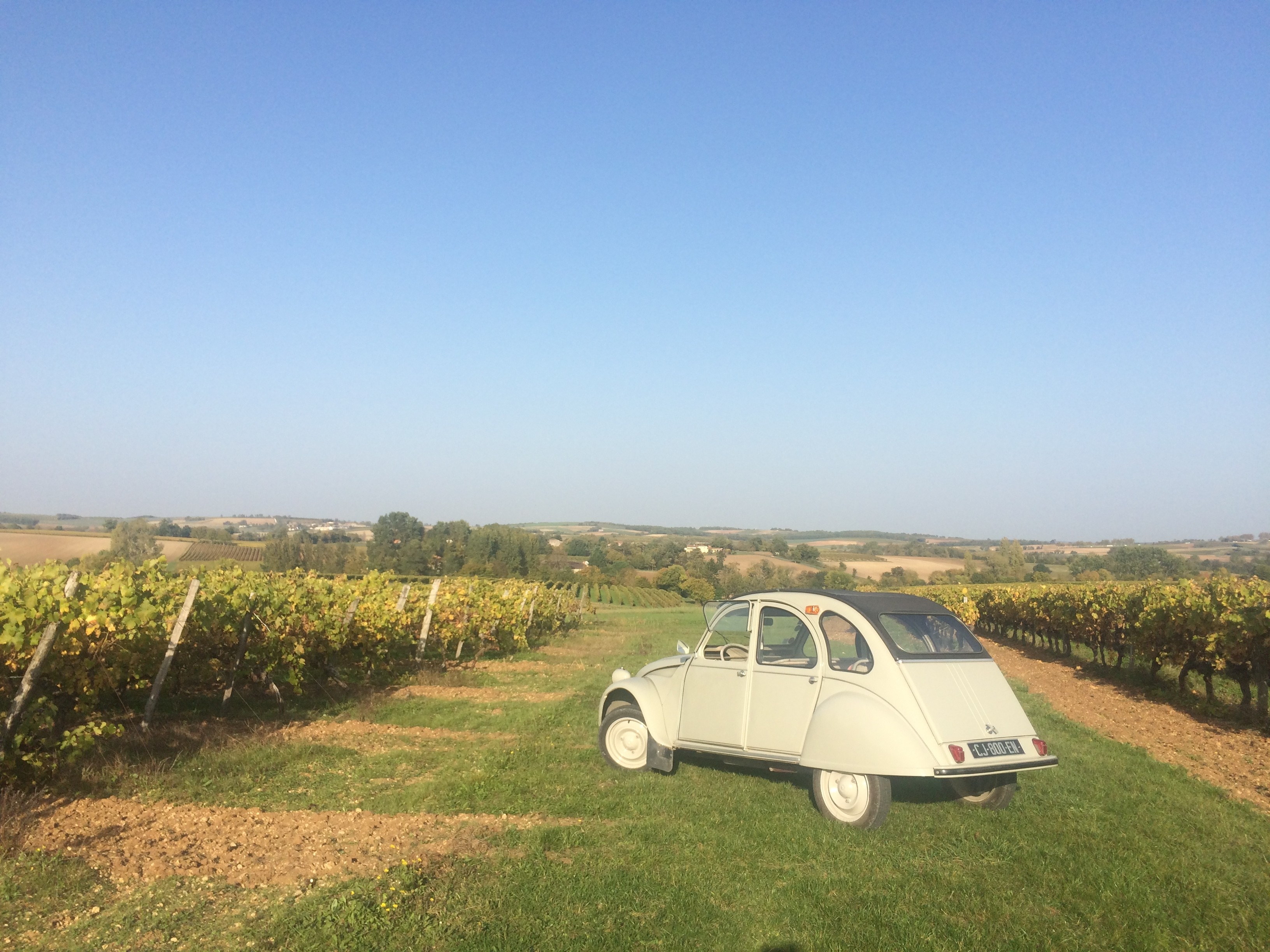 DOMAINE DE LA CHEVALERIE - VIGNOBLE PELLETANT