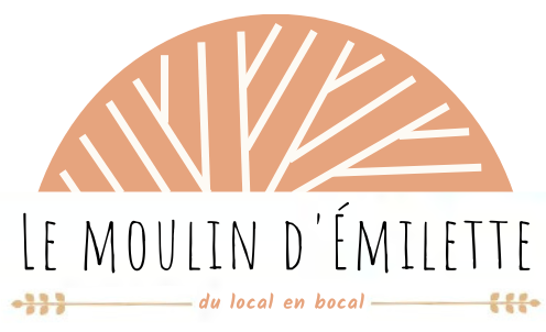 LE MOULIN D'EMILETTE