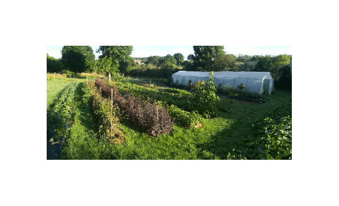 LES JARDINS DE SÉMIRAMIS