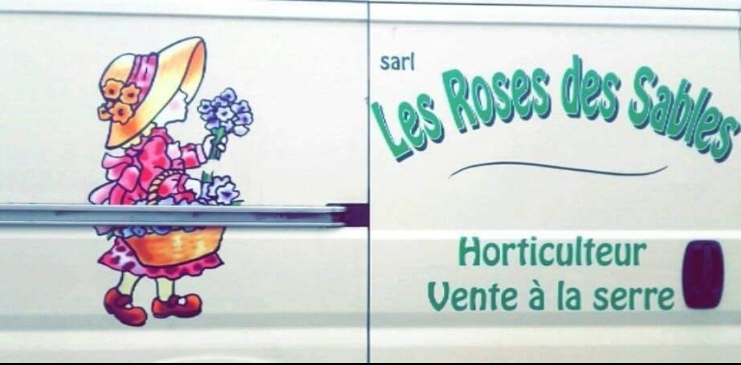 LES ROSES DES SABLES