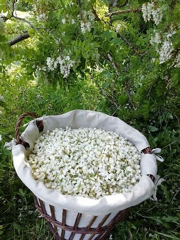 AUX BONNES HERBES