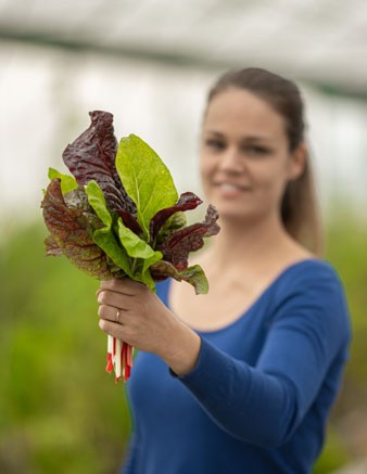 LE POTAGER DES POISSONS