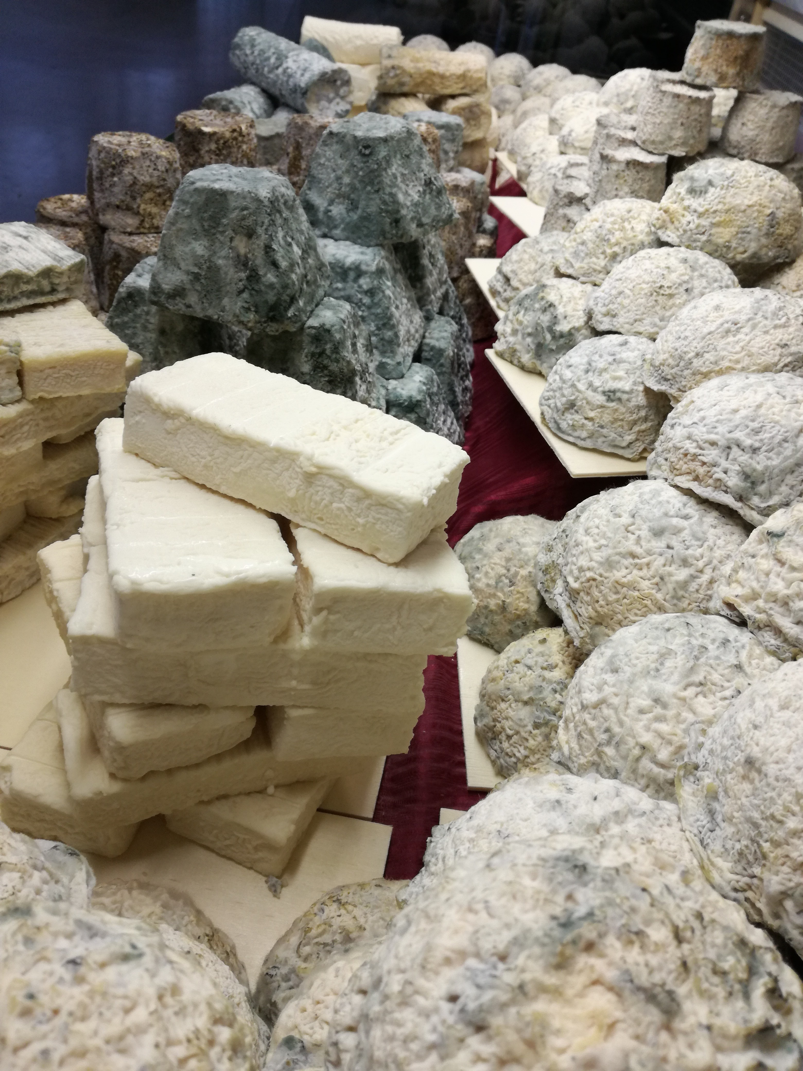 CHEVRE JOUSSEAUME