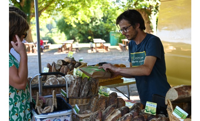 L'ARBRE A PAINS