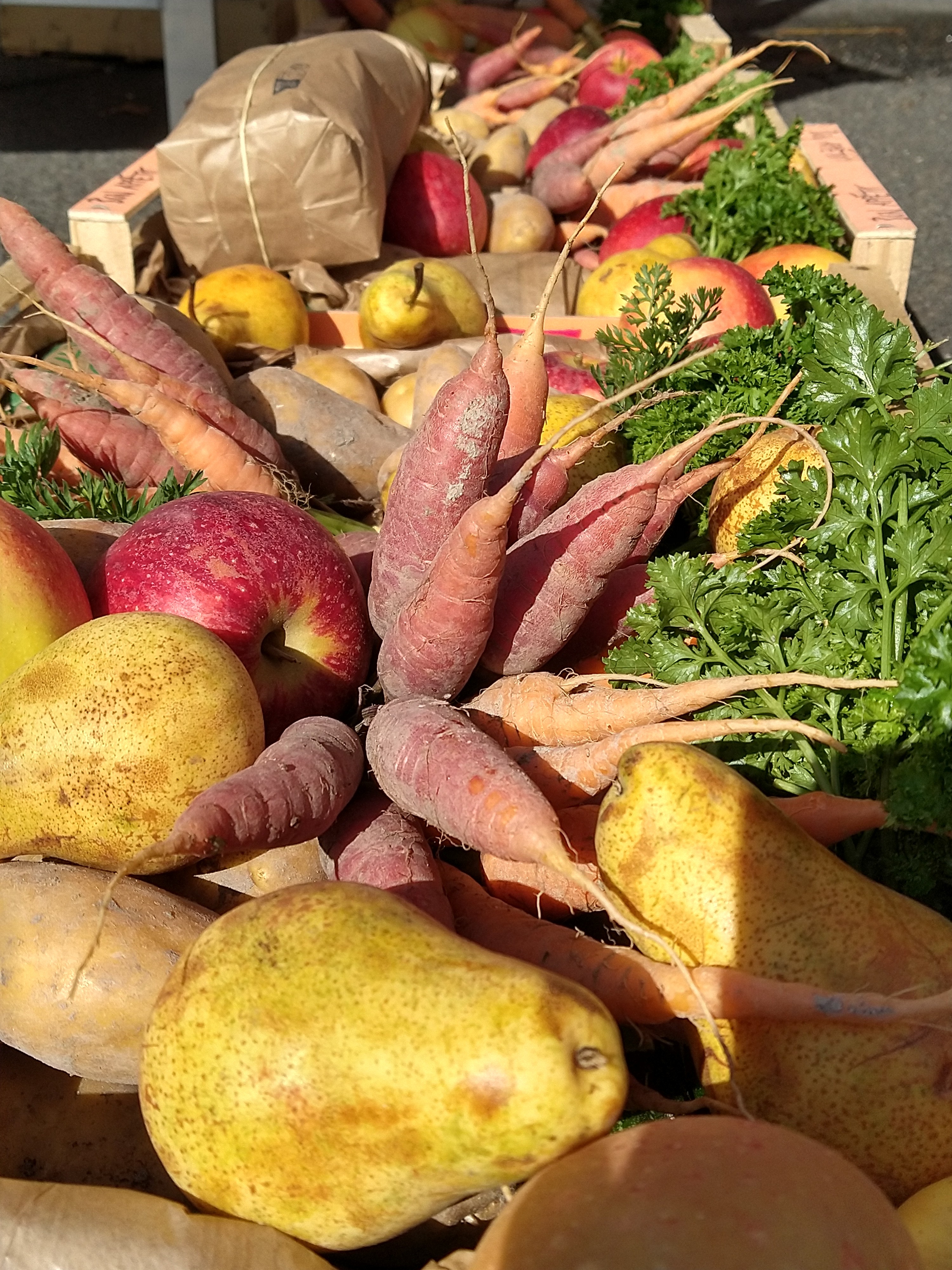 FERME DU MAINE THELOTTES