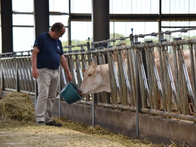 Au GAEC des Epardeaux à la rencontre des belles blondes d'Aquitaine ! 