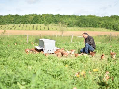 Pensez local 16 pour savoir ce qu’on mange